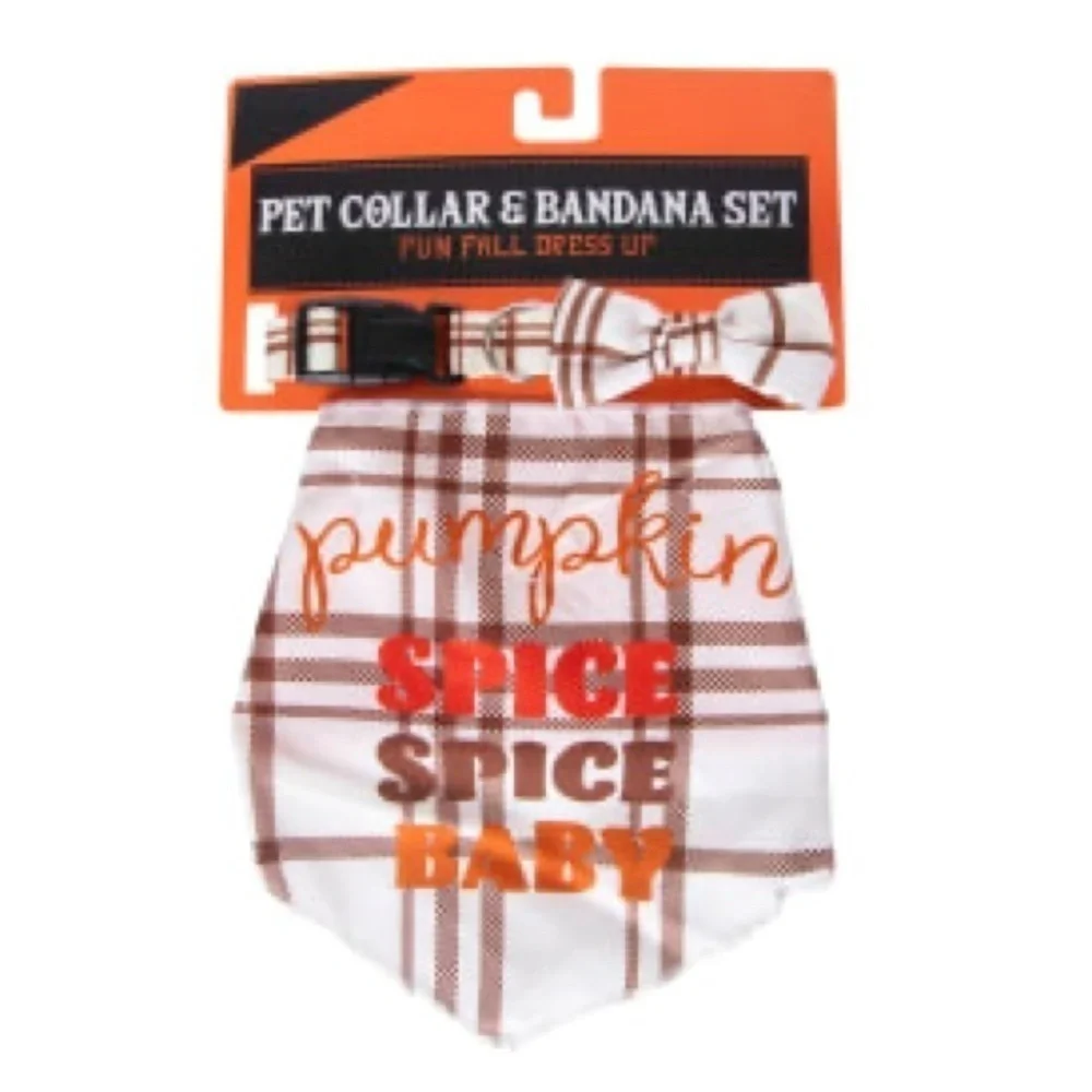 Pumpkin spice spice baby Matching Fall Pet Collar & Pet Bandana Set S/M